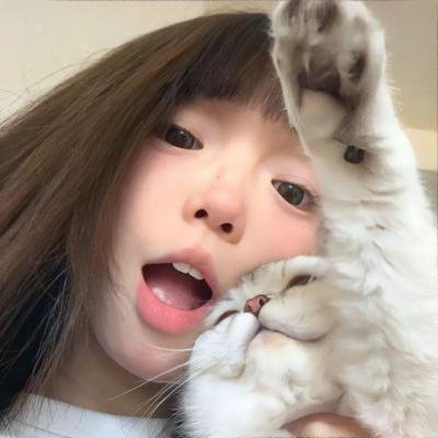 鞋猫剑客
