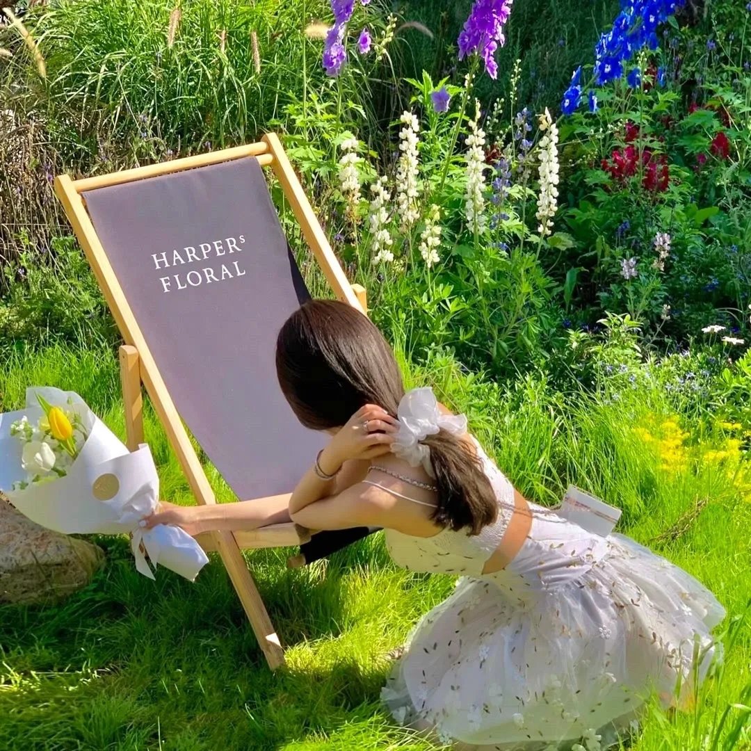 萌宝逆袭:霸总爹地闪婚超能妈咪